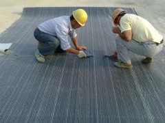 钠基膨润土系天然无机材料