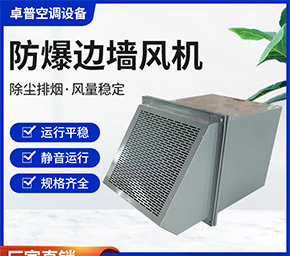 防爆边墙排风机