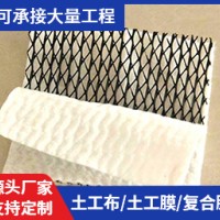 三维复合排水网