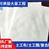长丝土工布