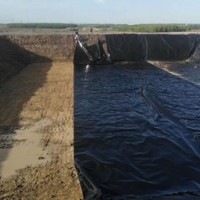 藕池、水产养殖