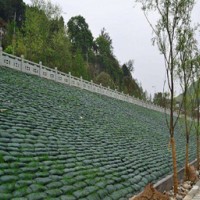 河道、堤坝护坡