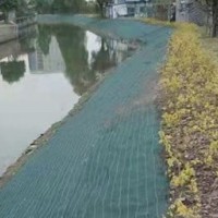 河道边坡绿化