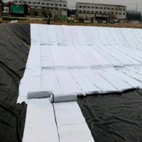 危废、垃圾填埋场