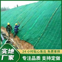 抗冲生物毯  一体化草毯  护坡毯