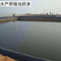 防渗膜施工案例