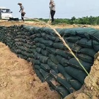 生态袋施工案例