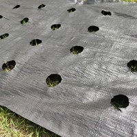 打孔防草布