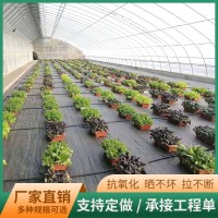 园林防草布