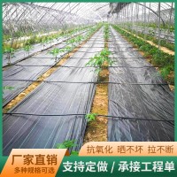 大棚防草布