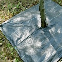 切片 开缝 打孔