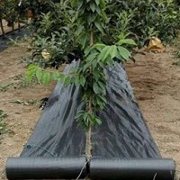 果园除草布