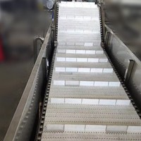 食品提升输送机