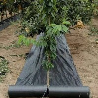 果园防草布