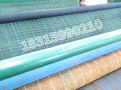 抗冲生物毯的作用